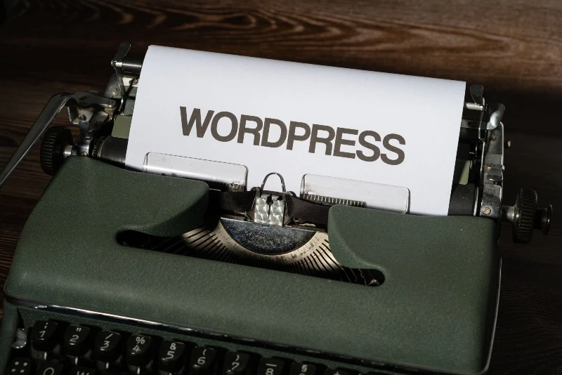 Custom Website vs WordPress: Which Is Better for Businesses in Nepal?